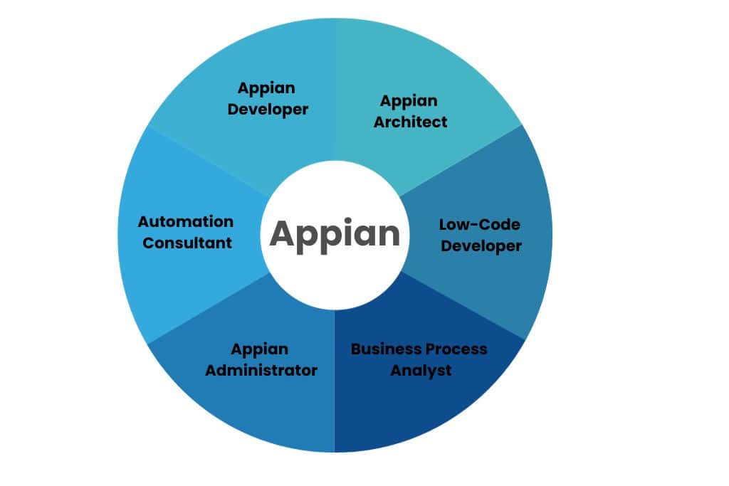 appian course training in hyderabad