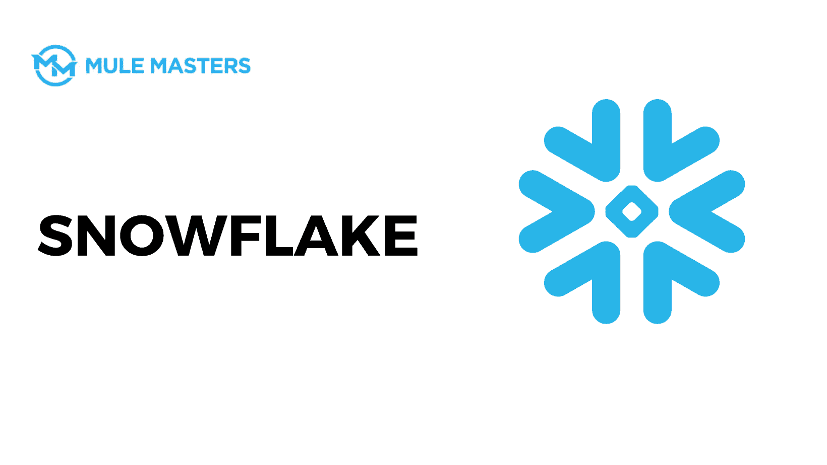 SNOWFLAKE