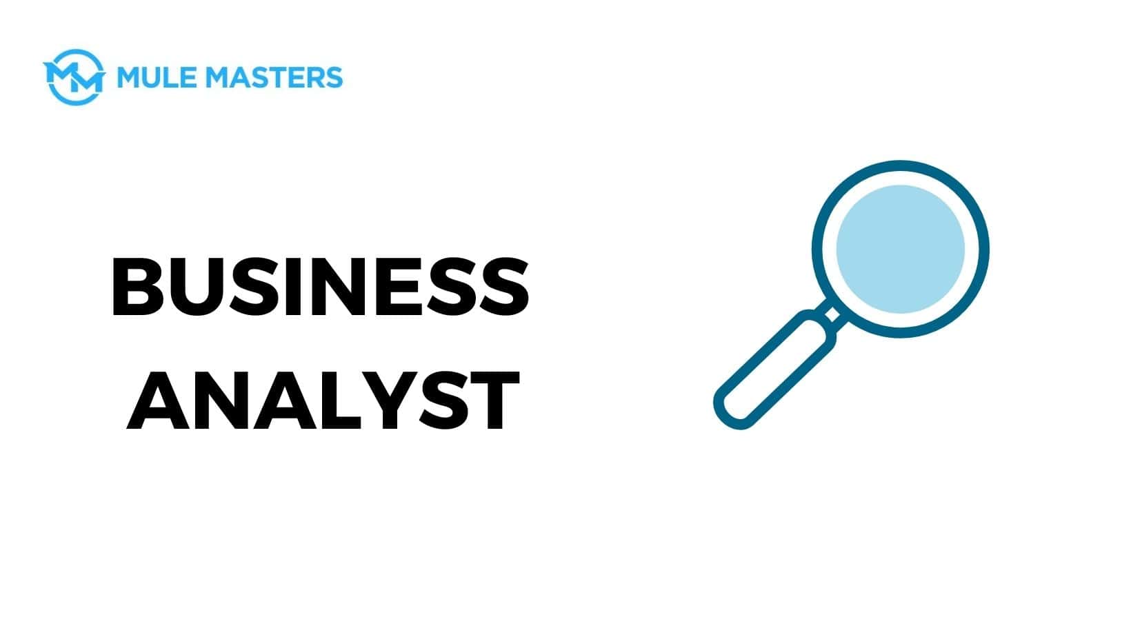 BUSINESS ANALYST