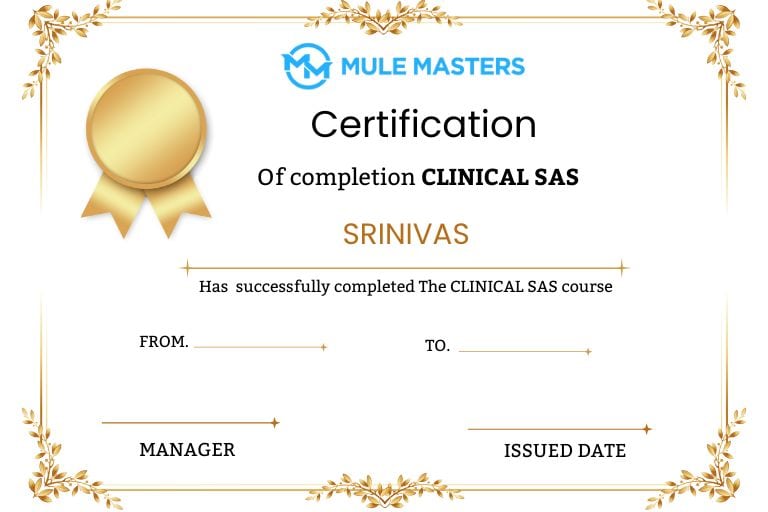 clinical sas Training In Hyderabad
