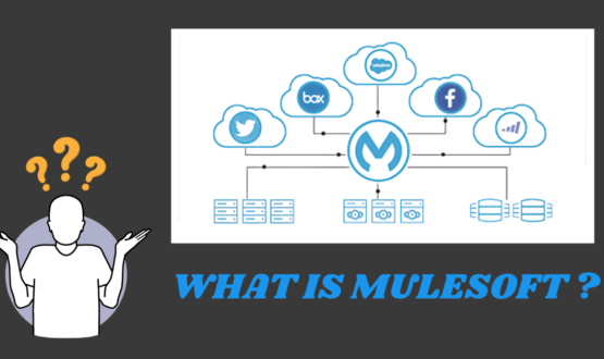 what is mulesoft