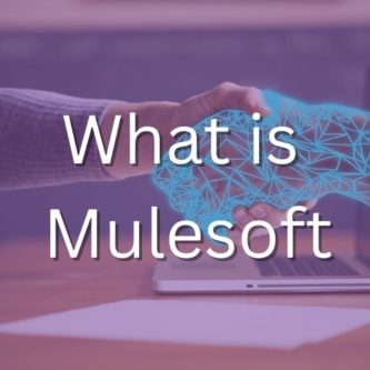mulesoft tutorial for beginners